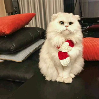 2021微信网名排行榜最火的网名男最新 最火最好听的男生网名大全