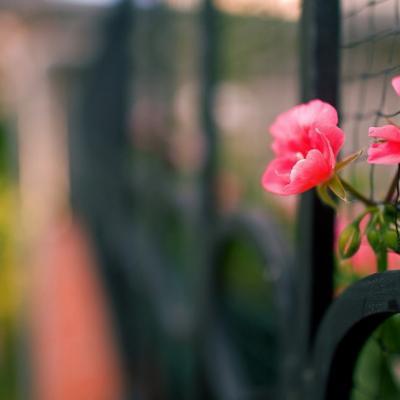 男生两个字微信网名简单好听 简短干净的男生名字大全2字