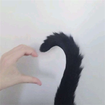 2019微信网名经典男帅气阳光 风清雾散云开见日出