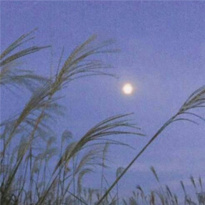 2019好听的微信网名男搞笑逗比 搞笑又撩人的抖音男生.jpg