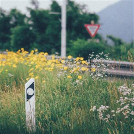 搞笑微信情侣网名一男一女2019精选 一眼能记住的搞笑网名大全