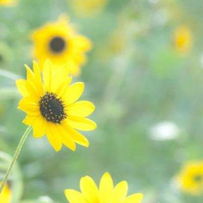 微信网名女生简单气质三个字 2019微信网名经典女三字大全.jpg