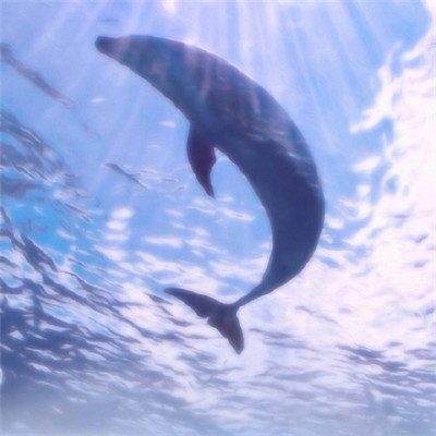 女生微信伤感网名心碎简单2019最新 你的话刺痛我的心.jpg