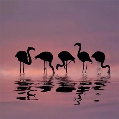 2019微信好听的非主流网名男生最新 岁月成沧海