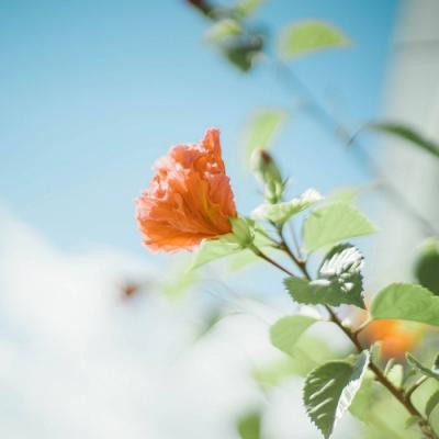 2019最新情侣网名可爱逗比 超甜超有爱的情侣网名一对