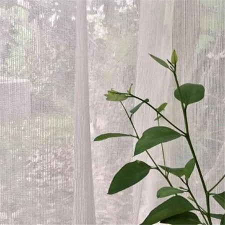 情侣网名霸气恩爱2019微信一个字 情侣名字一对简洁一个字.jpg