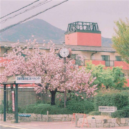 2019微信网名经典女霸气十足 巡山小妖精