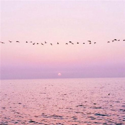 女生有文艺气息的森系网名2019微信最新 一缕半夏微光