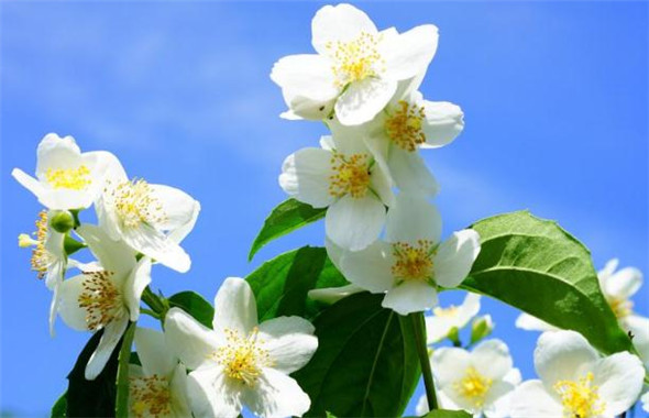 2019微信独一无二霸气网名男两个字 霸气冷酷的男生网名男神范.jpg 2019微信独一无二霸气网名男两个字 霸气冷酷的男生网名男神范.jpg