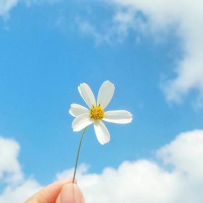 微信最火最吸引人的男生网名2021 只留旧梦守空城