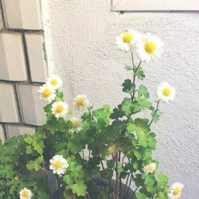 给女朋友的备注大全文艺有内涵 2021微信最流行的女朋友备注大全