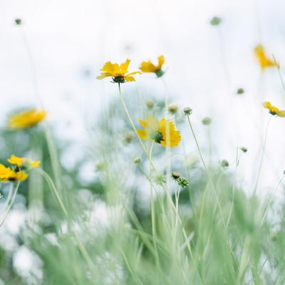 给女朋友的备注大全热恋甜蜜 2021微信最火女朋友备注甜蜜浪漫