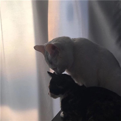 2021伤感女生微信网名个性独一无二 毕竟我不出众