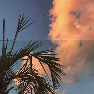 诗意男生超长网名大全2021 我一个人欣赏夜晚孤独风景