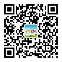 金华财政
