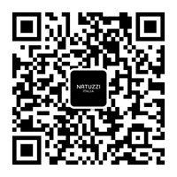 Natuzzi Italia