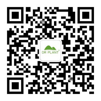 DRPLANT植物医生