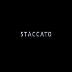 STACCATO思加图