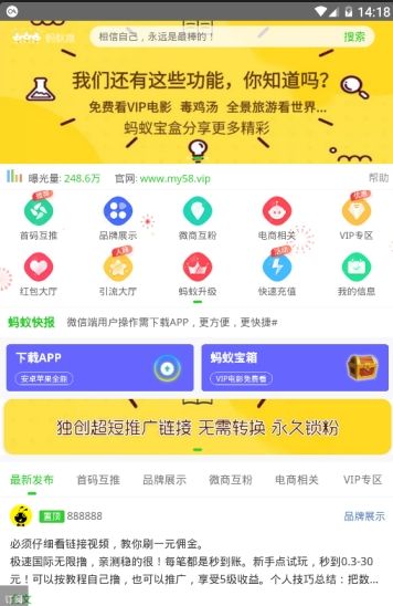 蚂蚁推