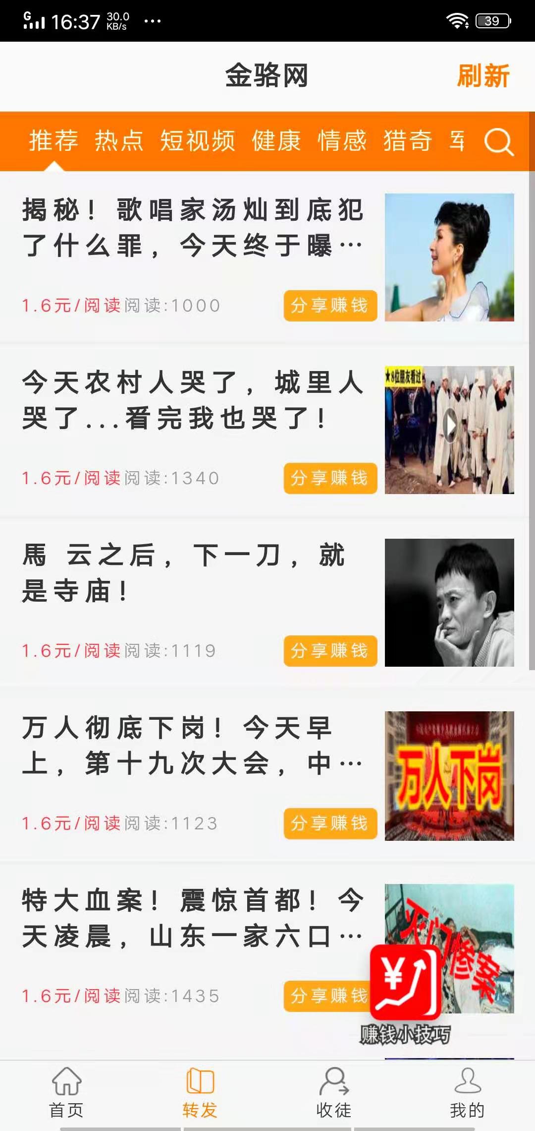 金骆网