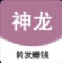 神龙资讯-年初首推的一款转发赚钱平台