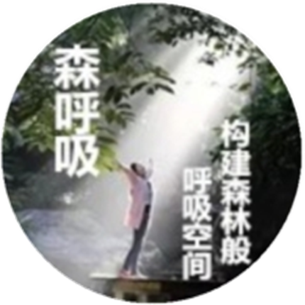 健康森呼吸 - 码怪网