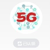 5G通信网络,5G组网